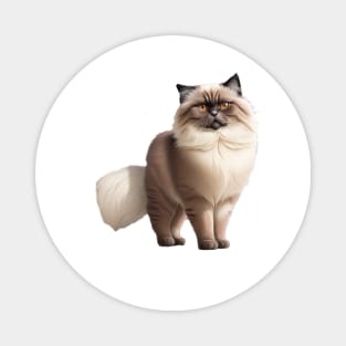 Himalayan cat Magnet